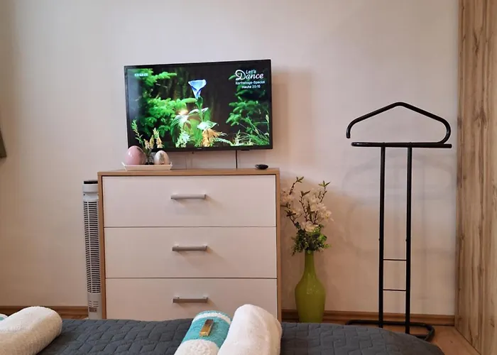 公寓 Cristal 希欧福克