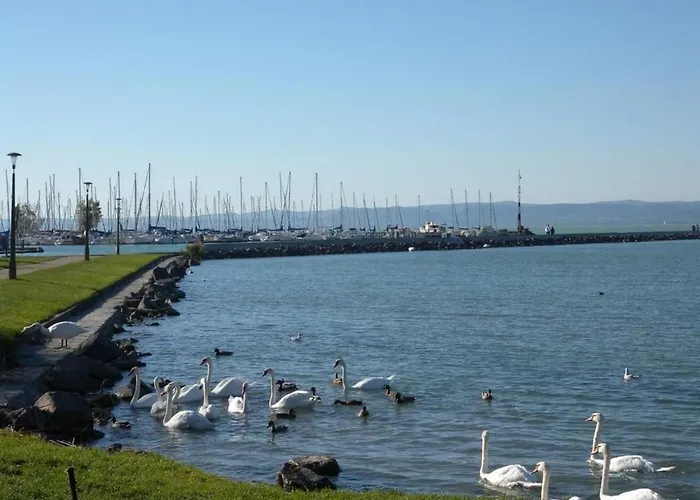 Cristal 希欧福克