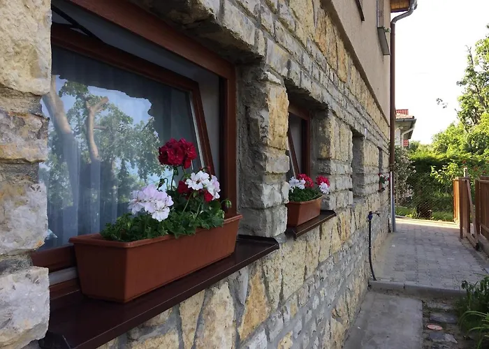 Cristal 希欧福克